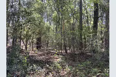 0 Ash Hill Drive, Eutawville, SC 29048 - Photo 3