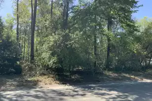 0 Ash Hill Dr, Eutawville, SC 29048 - Photo 1