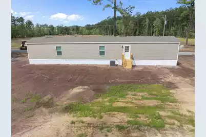 323 Myers Mayo Road, Ridgeville, SC 29472 - Photo 3
