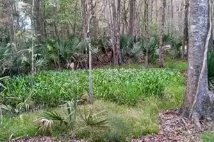 2160 Nicholas David Path, Johns Island, SC 29455 - Photo 67