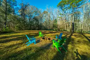 2160 Nicholas David Path, Johns Island, SC 29455 - Photo 63
