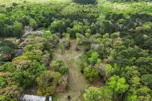 5865 Octavia, Ravenel, SC 29470 - Photo 11