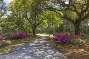 4317 Hwy 165, Meggett, SC 29449 - Photo 67