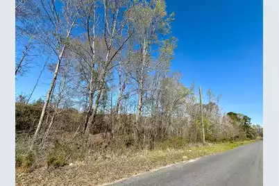 0 Locust Avenue S, Denmark, SC 29042 - Photo 3