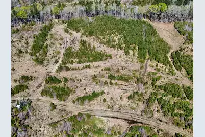 0 Locust Avenue S, Denmark, SC 29042 - Photo 23