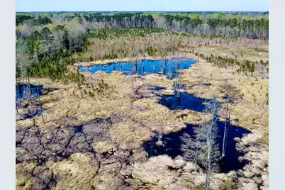 0 Locust Avenue S, Denmark, SC 29042 - Photo 3