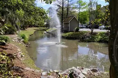 188 Midland Parkway #Apt 513, Summerville, SC 29485 - Photo 25