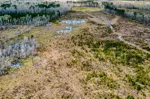 0 Locust Ave S, Denmark, SC 29042 - Photo 1