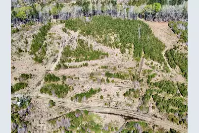 0 Locust Avenue S, Denmark, SC 29042 - Photo 19