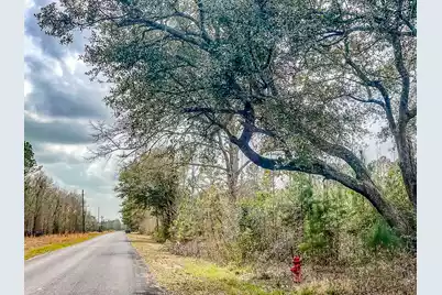 0 Locust Avenue S, Denmark, SC 29042 - Photo 11