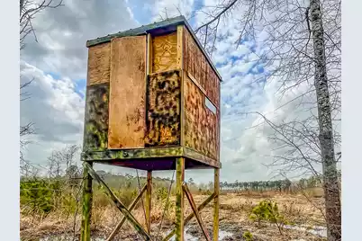 0 Locust Avenue S, Denmark, SC 29042 - Photo 7