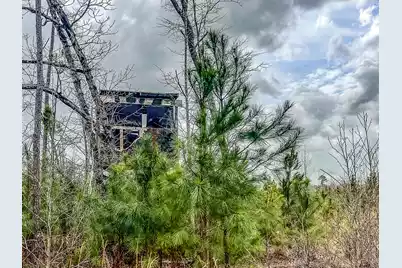 0 Locust Avenue S, Denmark, SC 29042 - Photo 9