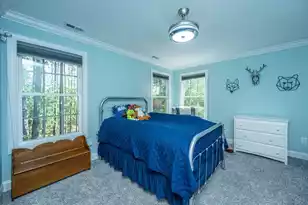 3738 Station Point Ct, Mount Pleasant, SC 29466 - Photo 31