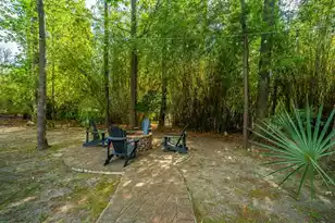 3738 Station Point Ct, Mount Pleasant, SC 29466 - Photo 61