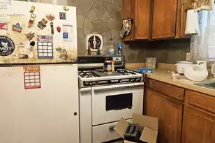 126 Rattlensnake Trail, Walterboro, SC 29488 - Photo 11