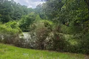 126 Rattlensnake Trail, Walterboro, SC 29488 - Photo 3