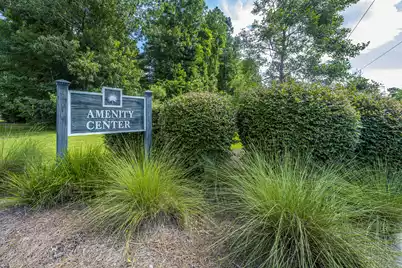 247 Old Carolina Drive, Goose Creek, SC 29445 - Photo 43