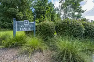 247 Old Carolina Dr, Goose Creek, SC 29445 - Photo 43