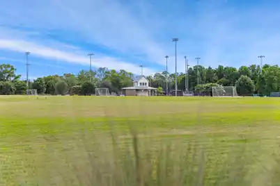 1530 Willtown Street, Daniel Island, SC 29492 - Photo 79