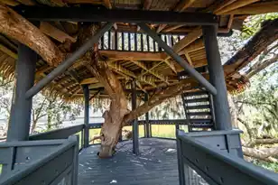 1530 Willtown St, Daniel Island, SC 29492 - Photo 57