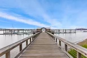 1530 Willtown St, Daniel Island, SC 29492 - Photo 63