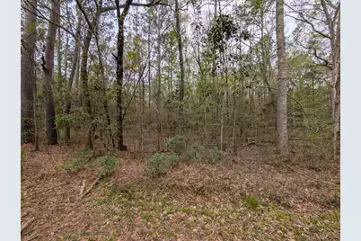 10218 Old Georgetown Road, McClellanville, SC 29458 - Photo 7