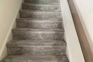 438 Trotters Ln, Moncks Corner, SC 29461 - Photo 13