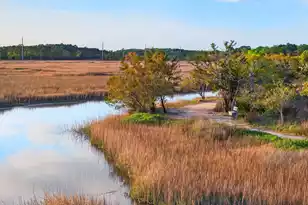 2436 Pristine View Rd, Charleston, SC 29414 - Photo 63