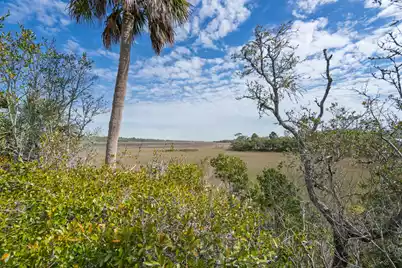 202 Jungle Shores Drive, Edisto Island, SC 29438 - Photo 3