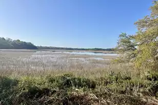 1716 Jasperstone Cir, Beaufort, SC 29906 - Photo 13