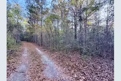 430 Weenee Road, Jamestown, SC 29453 - Photo 7
