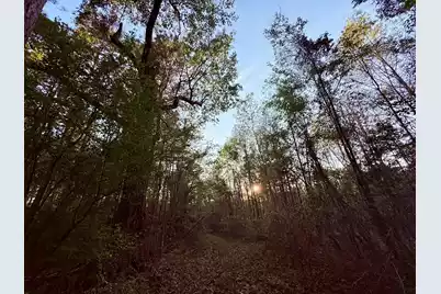 430 Weenee Road, Jamestown, SC 29453 - Photo 15