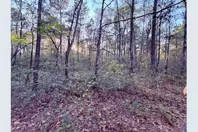 430 Weenee Road, Jamestown, SC 29453 - Photo 5