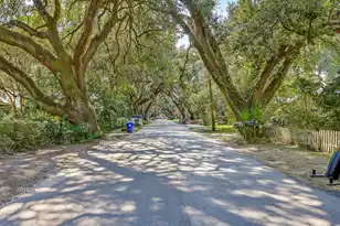 333 Riverland Dr, Charleston, SC 29412 - Photo 45