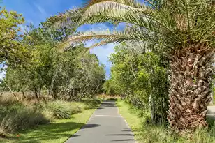 1307 Chardon Cmns, Johns Island, SC 29455 - Photo 63