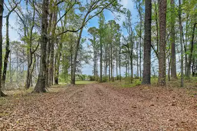 3643 Char-Augusta Road, Bamberg, SC 29003 - Photo 47