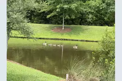 2910 Gantt Drive, Johns Island, SC 29455 - Photo 13