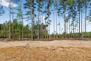 2652 Burlington Rd, Walterboro, SC 29488 - Photo 37