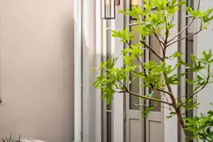 19 Krier Ln, Mount Pleasant, SC 29464 - Photo 9