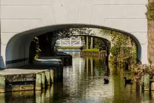 19 Krier Ln, Mount Pleasant, SC 29464 - Photo 63