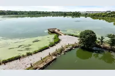 436 Tulip Poplar Drive, Moncks Corner, SC 29461 - Photo 17