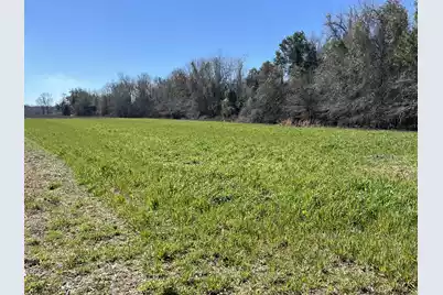 413 Lynchburg Road, Kingstree, SC 29556 - Photo 11