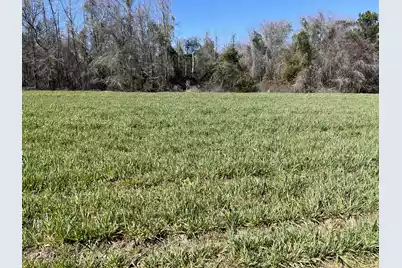 413 Lynchburg Road, Kingstree, SC 29556 - Photo 13