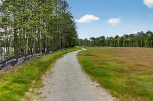 153 Village Ponds Dr, Summerville, SC 29483 - Photo 57