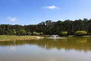 1011 Bridlewood Farms Pkwy, Ridgeville, SC 29472 - Photo 39