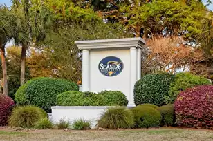 668 Majestic Oaks Dr, Charleston, SC 29412 - Photo 63