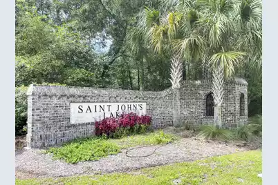 3509 Great Egret Drive, Johns Island, SC 29455 - Photo 59