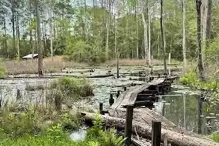 263 Keegan Ct, North, SC 29112 - Photo 19