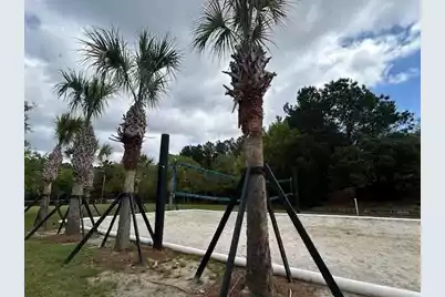 2040 Promenade Court, Mount Pleasant, SC 29466 - Photo 49