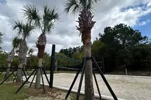 2040 Promenade Ct, Mount Pleasant, SC 29466 - Photo 49